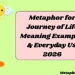 Metaphor for Journey of Life Meaning Examples & Everyday Use