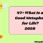 What Is a Good Metaphor for Life?