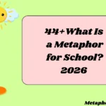 What Is a Metaphor for School?