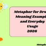 Metaphor for Drugs Meaning Examples and Everyday Usage