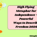 High Flying Metaphor for Independence – Powerful Ways to Describe Freedom