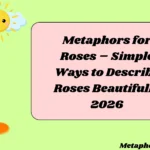 Metaphors for Roses – Simple Ways to Describe Roses Beautifully