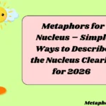 Metaphors for Nucleus – Simple Ways to Describe the Nucleus Clearly for