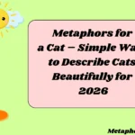 Metaphors for a Cat – Simple Ways to Describe Cats Beautifully for