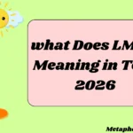 hat Does LMAO Meaning in Text