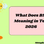 What Does BSF Meaning in Text
