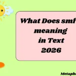 What Does smfh meaning in Text