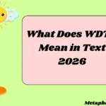 What Does WDTF Mean in Text