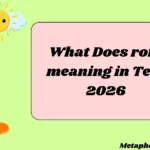 What Does rofl meaning in Text