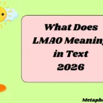 What Does LMAO Meaning in Text