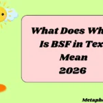 What Does What Is BSF in Text Mean