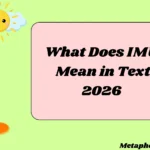 What Does IMU Mean in Text