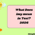 What Does imy mean in Text?