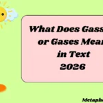 What Does Gasses or Gases Mean in Text