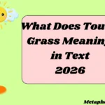 What Does Touch Grass Meaning in Text