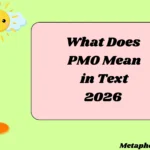 What Does PMO Mean in Text