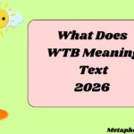 What Does WTB Meaning Text