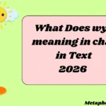 What Does wyf meaning in chat in Text