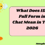 What Does IDC Full Form in Chat Mean in Text