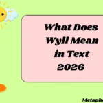 What Does Wyll Mean in Text