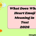 What Does White Heart Emoji Meaning in Text
