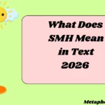 What Does SMH Mean in Text