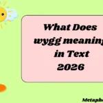 What Does wygg meaning in Text