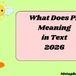 What Does PP Meaning in Text