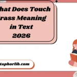 What Does Touch Grass Meaning in Text