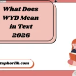 What Does WYD Mean in Text