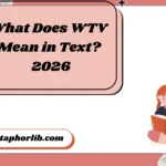 What Does WTV Mean in Text